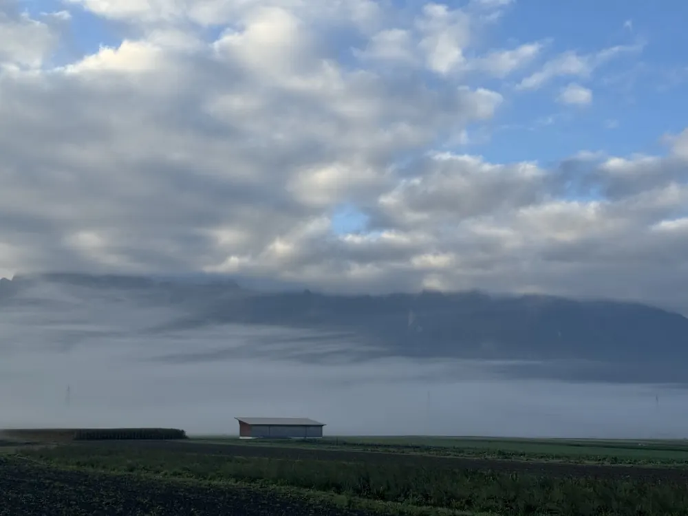 Misty fields near Wals-Siezenheim